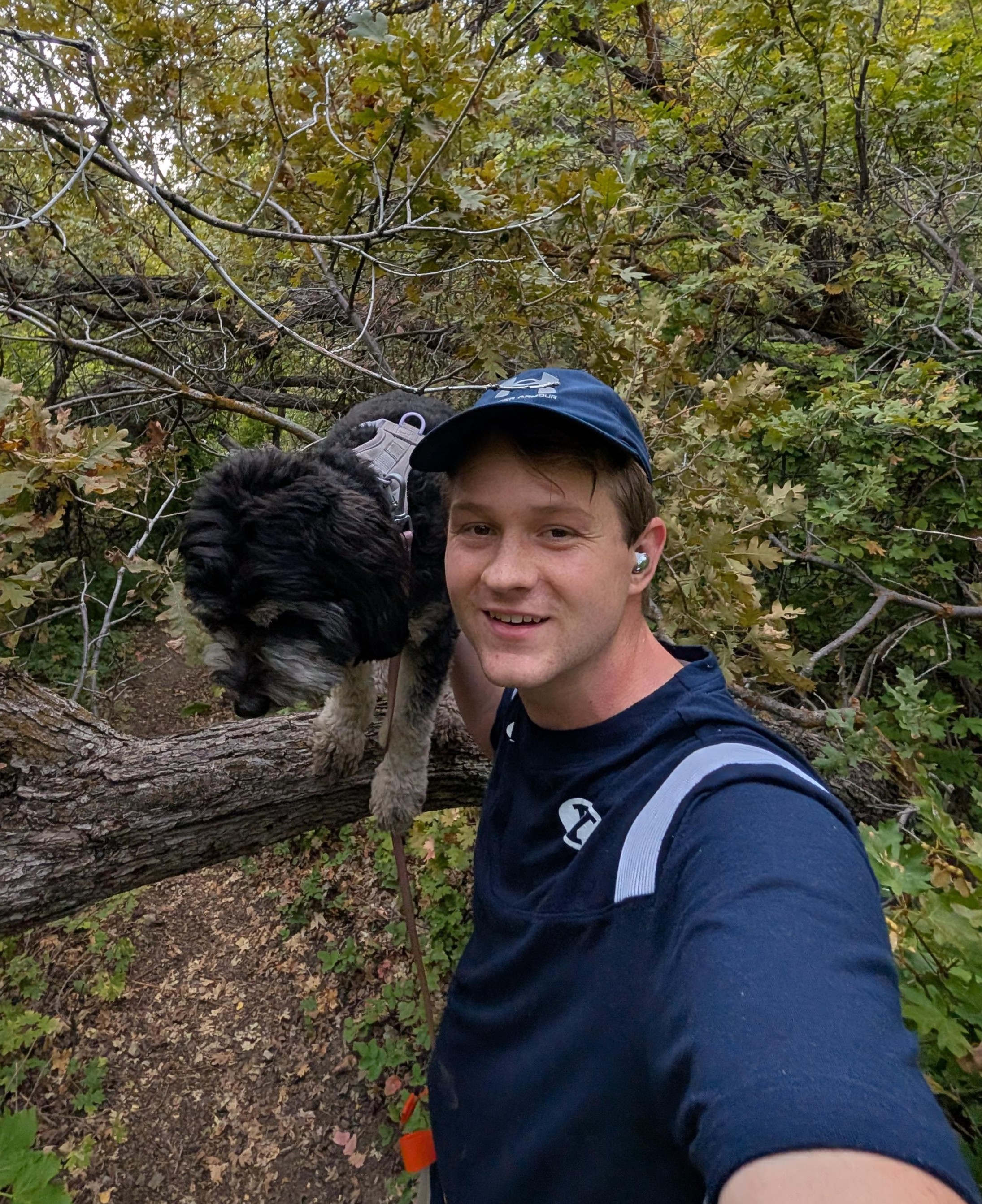 Brennan Williams, founder of Beehive Built